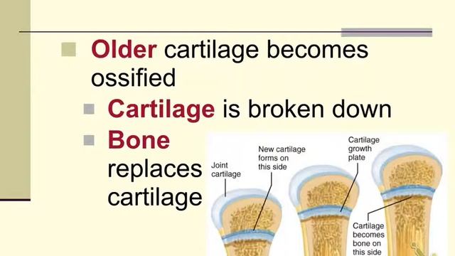 5 3 Notes смотреть онлайн
