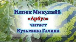 "Арбуз" Илпек Микулайĕ