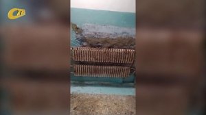 ЖИТЕЛЬНИЦА ЖЕЛЕЗНОГОРСКА ПОЖАЛОВАЛАСЬ НА КАЧЕСТВО ИСПОЛНЕНИЯ РЕМОНТНЫХ РАБОТ В ПОДЪЕЗДЕ