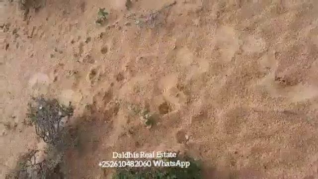 Boos iib ah, Deegaanka Xaawo Cabdi, Laamiga u dhaw, 2 Jidle ah, Qiimo jaban, +252610482060 WhatsApp смотреть онлайн