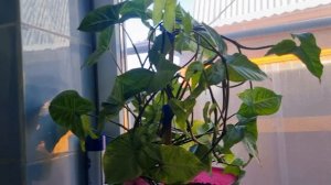 Генеральная уборка в ванной комнате.