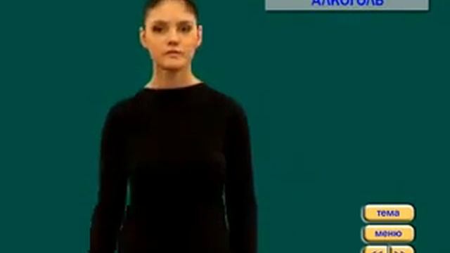 Видеословарь русского жестового языка-3.flv