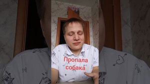 Пропала собака