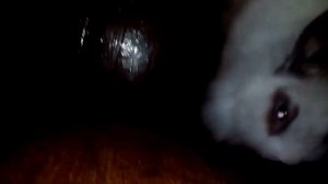 Кот разорвал кролика в клочья