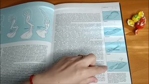 ASMR reading / АСМР чтение / конфетка / шёпот / candy / whisper