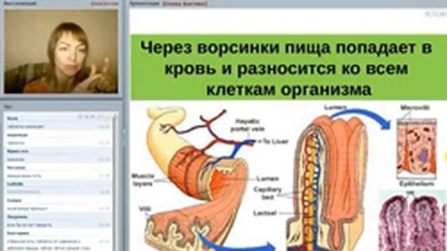 Елена Бахтина Как убрать внутри себя или система лимфоочищения