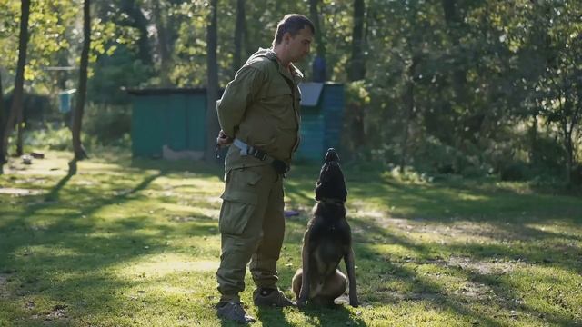 Unleashing the Belgian Malinois: A Canine Journey | Animal Movie смотреть онлайн