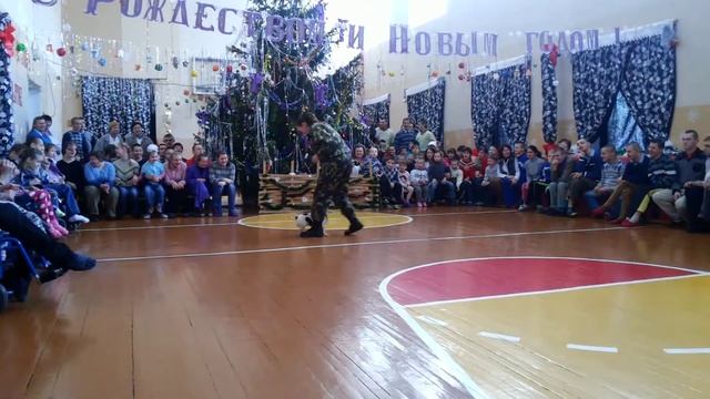 Питомник "Рабочие собаки", показательные выступления Джеки