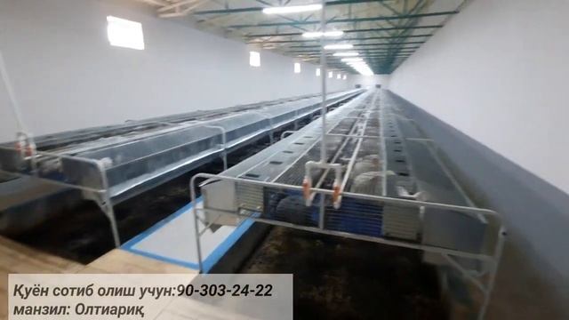 Олтиариқдаги қуён фермаси смотреть онлайн