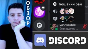 Обзор на Discord "Кошачий рай" (moonsiyari)