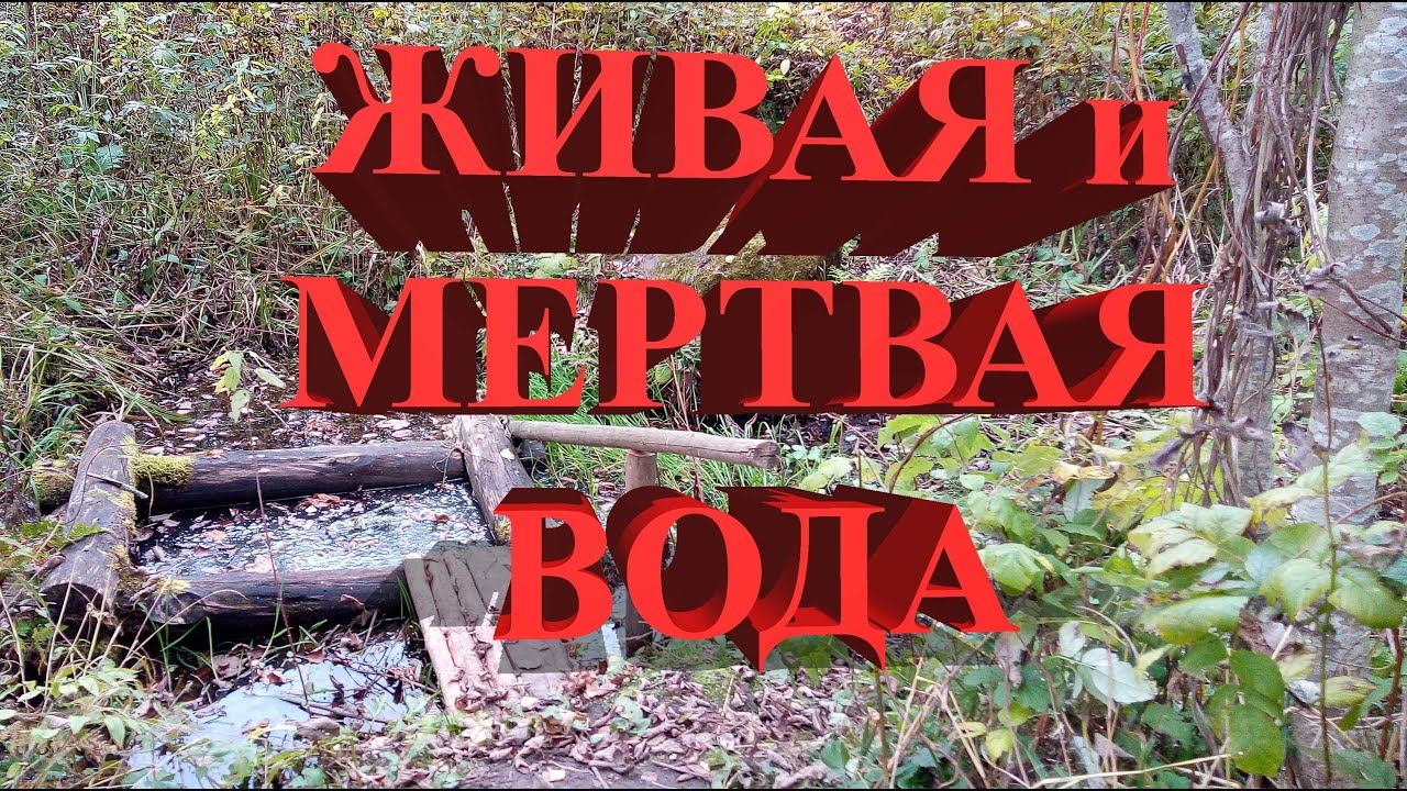 Святой Бочаг. Живая и мертвая вода! (Красносельский р-н. Костромской обл.)