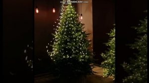 Гирлянда хвост