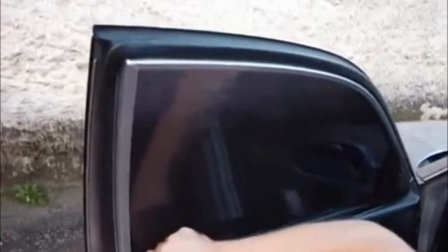 Съемная многоразовая тонировка