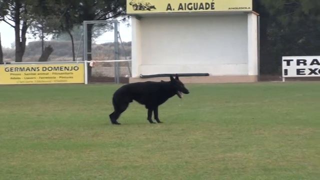 Alexandre Peso Molluna  Uran de Pozalmuro con 85 puntos en B..!!