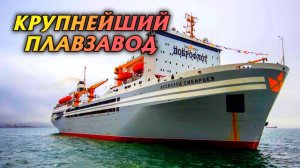 Крупнейшая в мире крабо-рыбоконсервная плавучая база