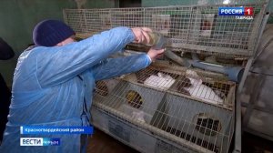 Крымские учёные разработали уникальные кормовые добавки на натуральной основе