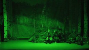 Спектакль А зори здесь тихие. Режиссер В.М. Зенчурин