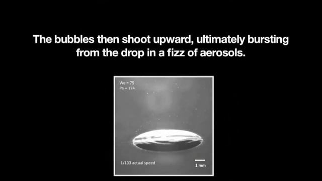 Scientists Explain Where That After-Rain Smell Comes From смотреть онлайн