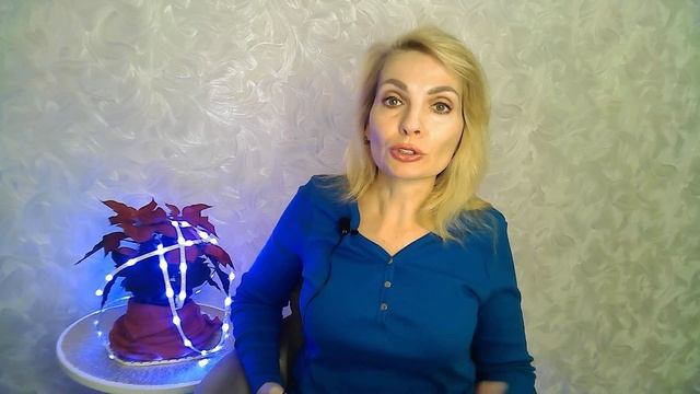 7 типов карьеры
