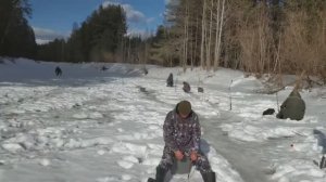 Рыбалка на речке Шанга. Бесплатная раздача витамина _Д_.