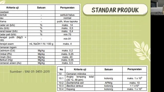Modifikasi Pati (Tapioka) смотреть онлайн