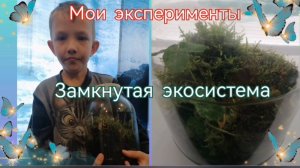 Мои эксперименты. Экосистемы