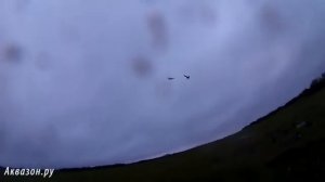 Охота на гуся ЖЕСТЬ