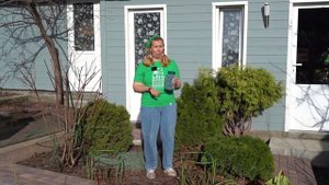 Уход за гортензией весной