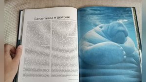 ASMR reading / АСМР чтение / candy / шёпот / конфетка / whisper