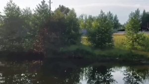 ВО ДЕЛА! ПИРАТКА ВЛИПЛА НА СТАТЬЮ! ПИРАТСКАЯ ЖИЗНЬ. ОБЗОР.