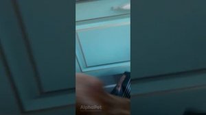 Отзывы AlphaPet | AlphaPet SuperPremium