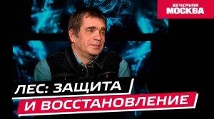 Восстановление и защита лесов // Научпост