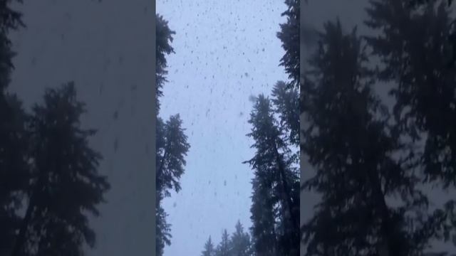 1.0 песни