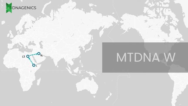 MTDNA W - DNAGENICS смотреть онлайн