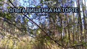 ПРИЗНАЛАСЬ! БУДЕТ СОСТАВЛЕН  ДОГОВОР. ОЛЬГА УРАЛОЧКА LIVE. ОБЗОР ВЛОГА.