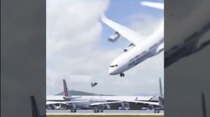 самолет машет крыльями и играется в полете с птицей