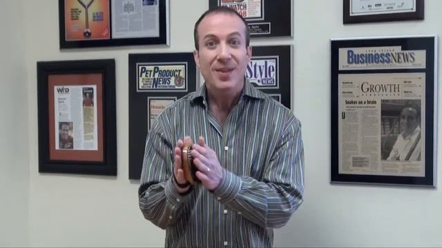 How to Use Dog Brushes Properly & Choosing Soft or Firm? Bass Dog Brushes with Boar Bristles