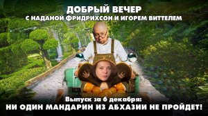 Ни один мандарин из Абхазии не пройдет! | ДОБРЫЙ ВЕЧЕР | 06.12.2024