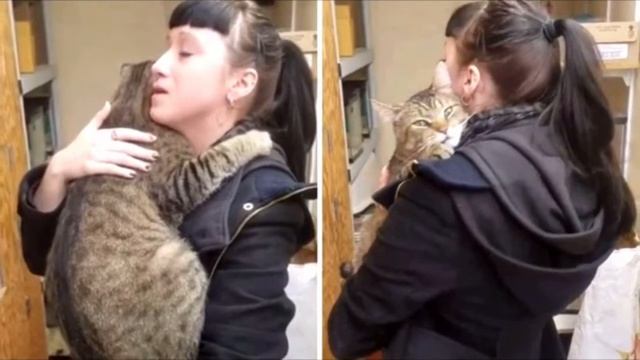 Кот из приюта крепко обнял девушку и уткнулся в её воротник. Но она не могла его забрать смотреть онлайн