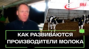 Молочные реки Подмосковья будут расширяться: как сегодня развиваются производители