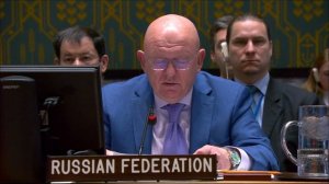 Statement by Permanent Representative Vassily Nebenzia at UNSC Briefing on Iraq