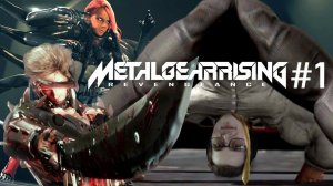 САШИМИ ИЗ МЕТАЛЛА И ПЛАСТИКА ➲ Metal Gear Rising: Revengeance ➲ СТРИМ #1