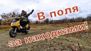 В поля за находками!