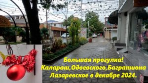 Большая прогулка! Лазаревское,ул.Калараш,Одоевского и Багратиона! Декабрь 2024.