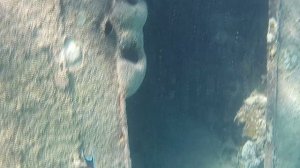 Подводный мир Египта.  Хургада. 2024
