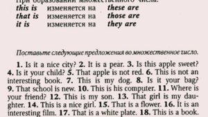 АНГЛИЙСКИЙ ЯЗЫК С НУЛЯ | ГРАММАТИКА | УПРАЖНЕНИЕ 14 | О.Оваденко "Английский без репетитора"