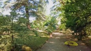 Пешеходная экскурсия по Флоренции