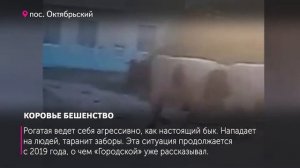 КОРОВЬЕ БЕШЕНСТВО