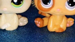 Lps Обзор моих котят (1 часть)