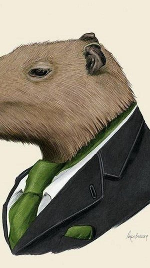 игра в арену звёзд